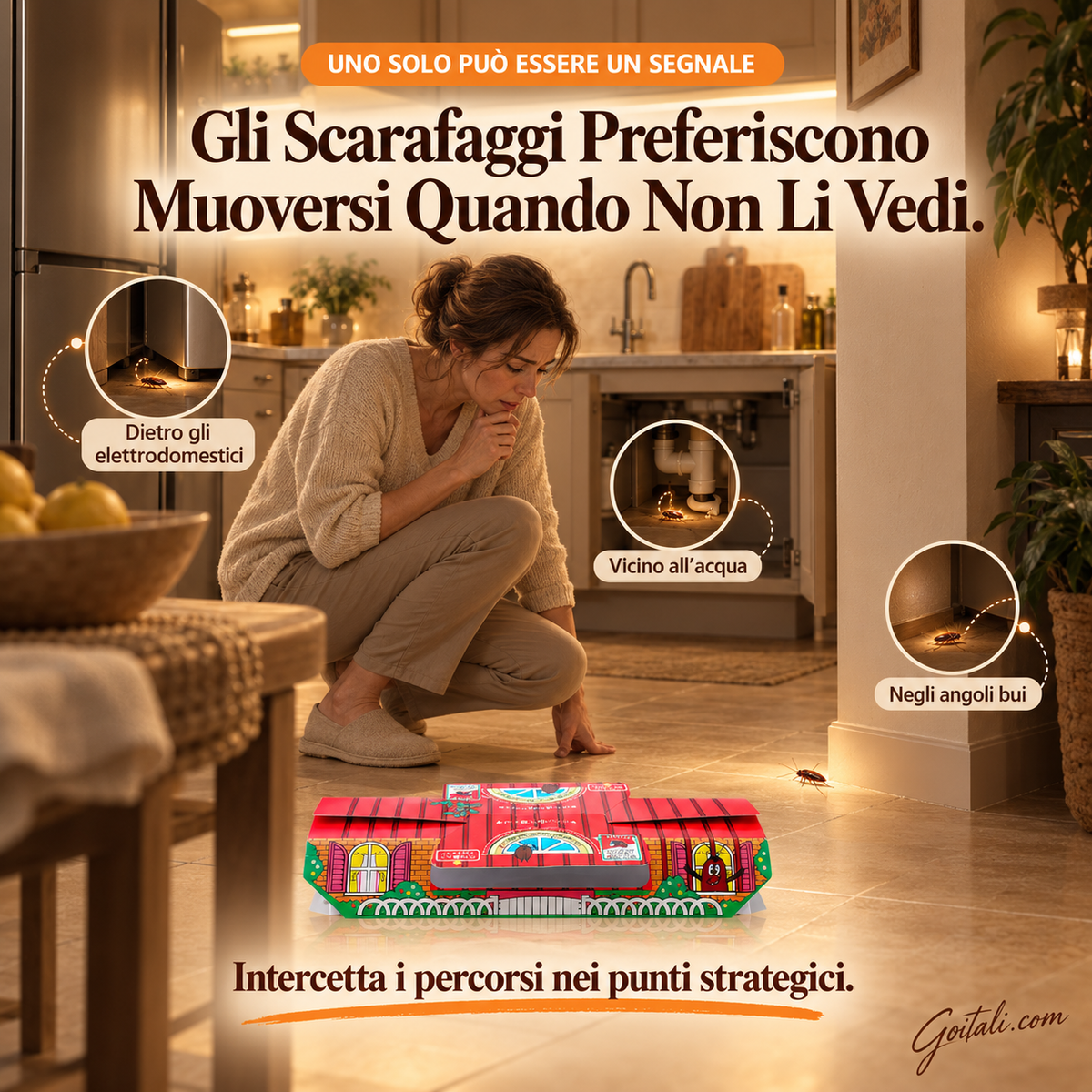 🏠✨ Trappola Adesiva per Scarafaggi con Esca Attrattiva – 5 Pezzi, Multi-Ingresso, per Casa e Interni