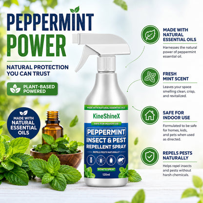 🗑️Spray Repellente per Insetti all'Olio di Menta Piperita Naturale – Massima Efficacia – Formula Profumata Sicura per Casa e Giardino