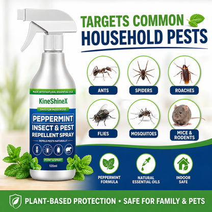 🗑️Spray Repellente per Insetti all'Olio di Menta Piperita Naturale – Massima Efficacia – Formula Profumata Sicura per Casa e Giardino