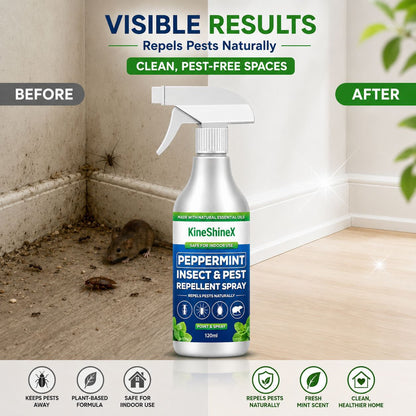 🗑️Spray Repellente per Insetti all'Olio di Menta Piperita Naturale – Massima Efficacia – Formula Profumata Sicura per Casa e Giardino