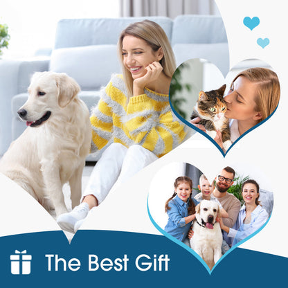 Soluzione detergente per le orecchie per cani e gatti 👂🌿🩹 Con formula botanica priva di antibiotici e punta silicone morbida, scioglie il cerume e lenisce prurito e rossore, mantiene le orecchie del pet pulite e confortevoli.