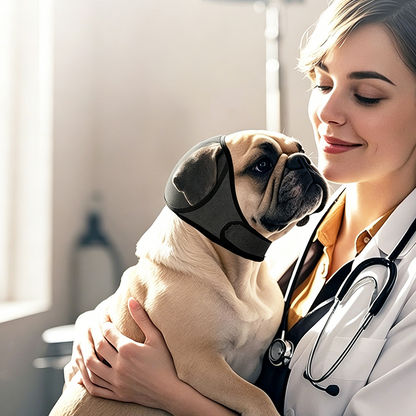 ✨Fascia Sicura Copri-Orecchie per Cani 🛡️🐶👶 Il materiale elastico non esercita pressione e protegge le orecchie del cane, riducendo l'agitazione dell'animale in ambienti domestici dove sono presenti anche i bambini.