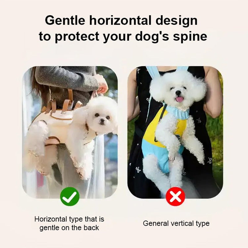 Trasportino portatile 2-in-1 🐱🐶