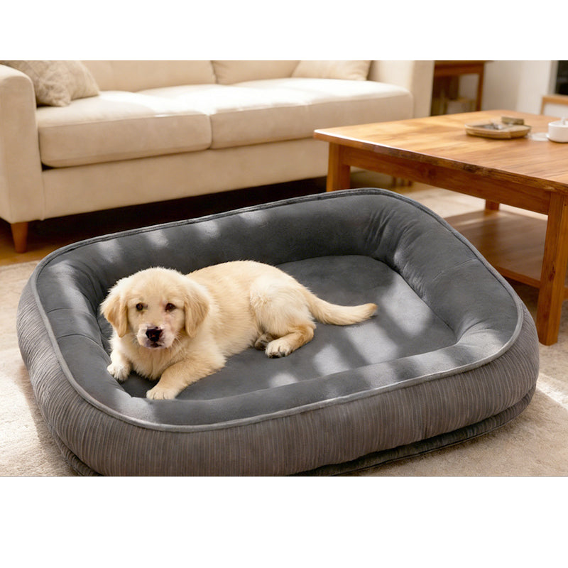 🐾Letto Confortevole per Animali 🛏️🌬️🎨 Letto per animali con base in schiuma e tessuto a doppia trama traspirante, disponibile in 5 taglie e 5 colori, si integra nell’arredamento domestico e crea un angolo di riposo ordinato e confortevole per l’animale.